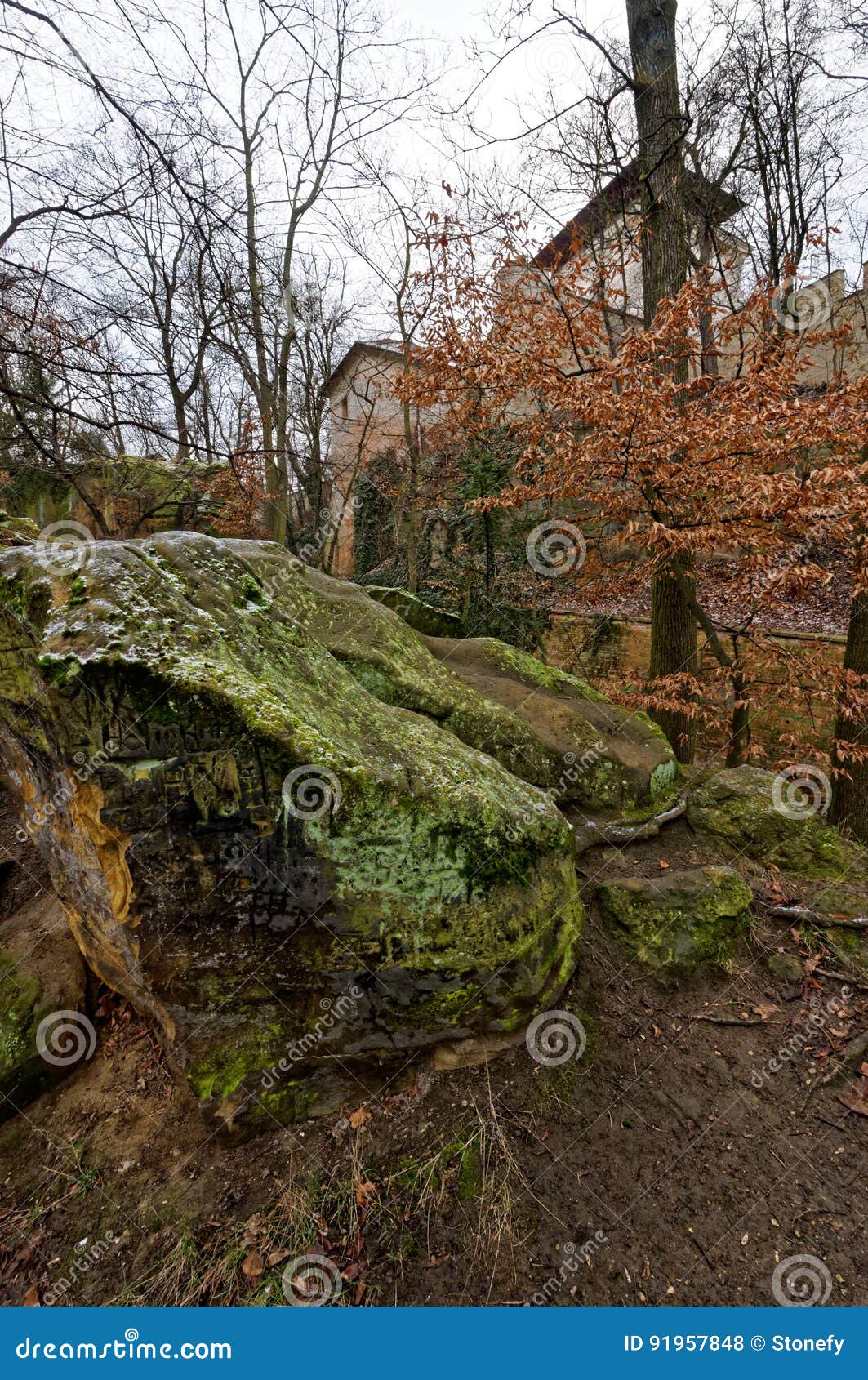 Algae Formed In The Water, Green Algae Formed In The Fountain Pool