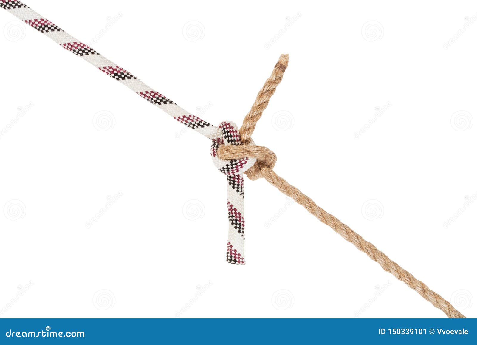 Another Side of Rigger S Bend Knot Joining Ropes Stock Image Image of