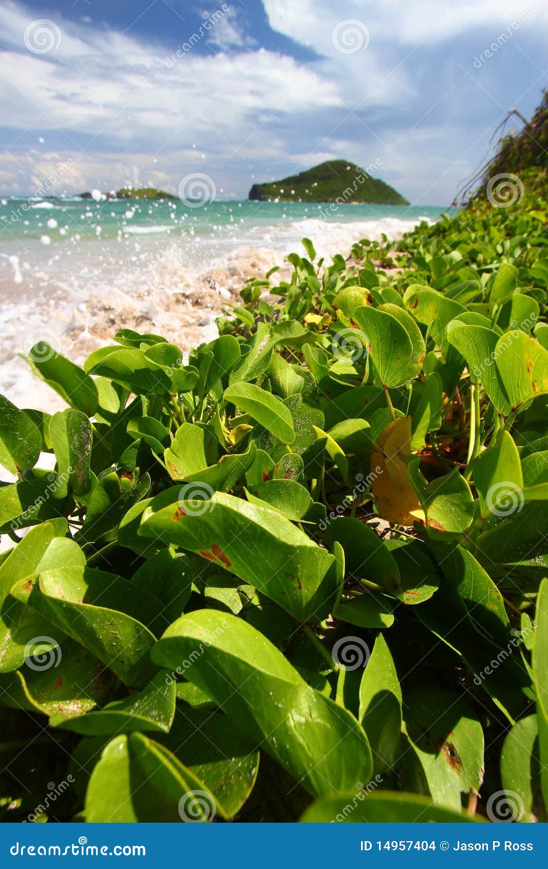 Anse De Sables Beach Le St Lucia Photo stock Image du destination