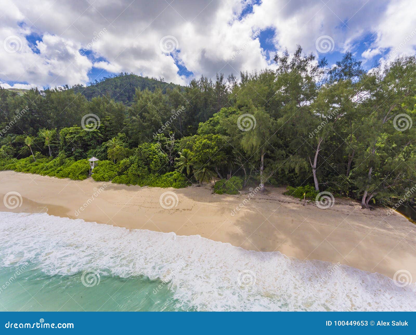 Anse Intendance stock image. Image of beach, calm, forest - 100449653