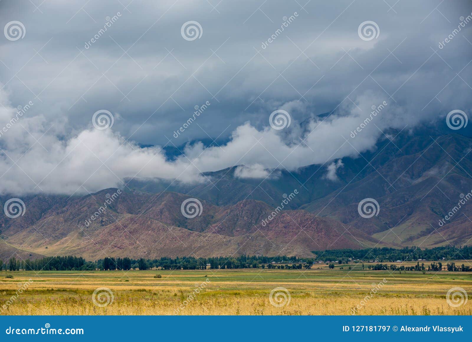 Schönes Feld von verschiedenen Farben, Ansicht der Berge