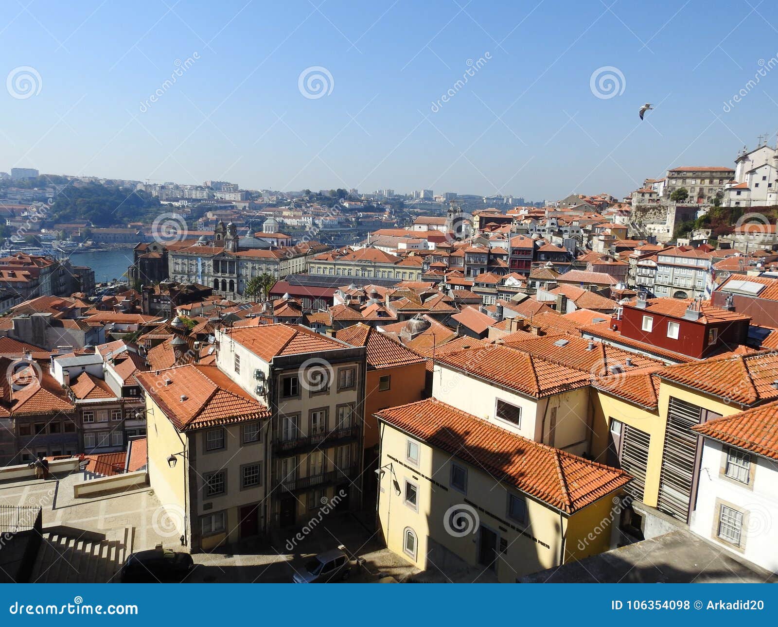 Ansicht der Stadt von Porto portugal. Schönes Panorama der Stadt von Porto - die Stadt, der Fluss Duero und die Fliegenseemöwe