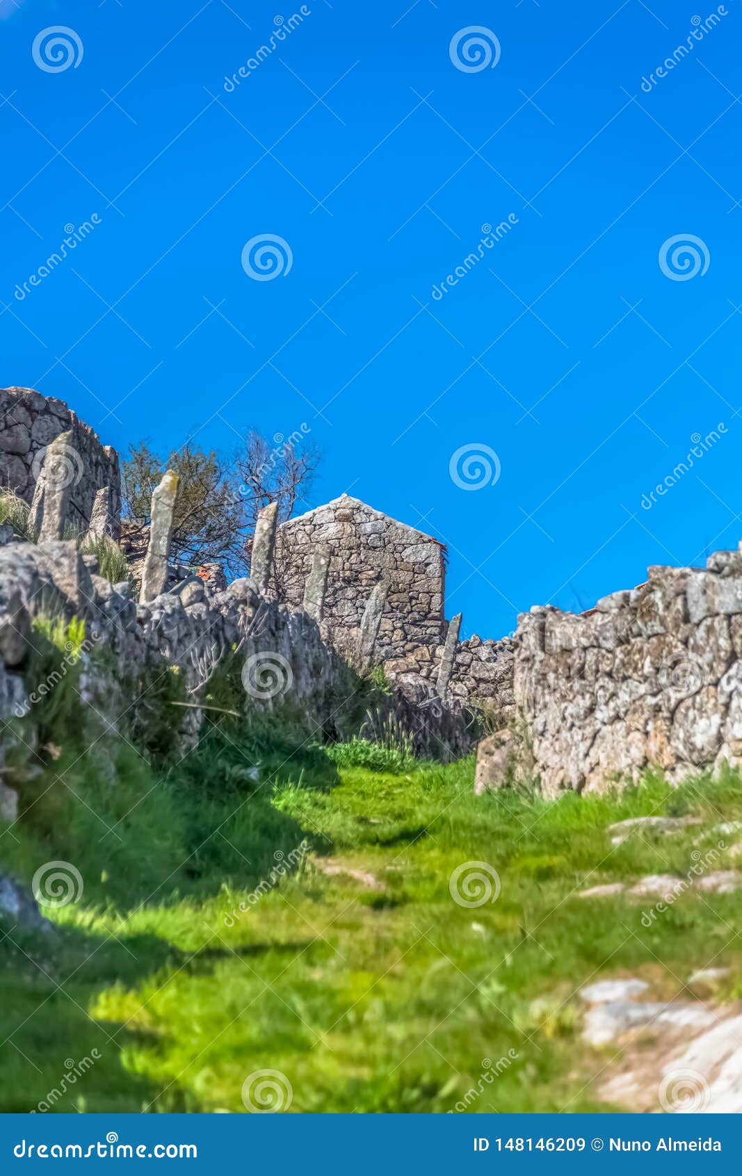View Of Pedestrian Path Up Through Agricultural Fields With Buildings And Walls In Granitic Stone Built In A Traditional Way Stockbild Bild Von Fields Outdoor