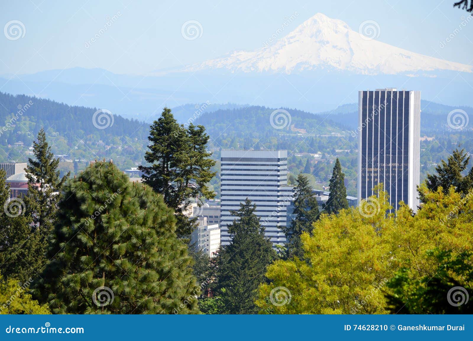 Ansicht Von Portland Und Von Mt Haube Von Portlands Rose Garden