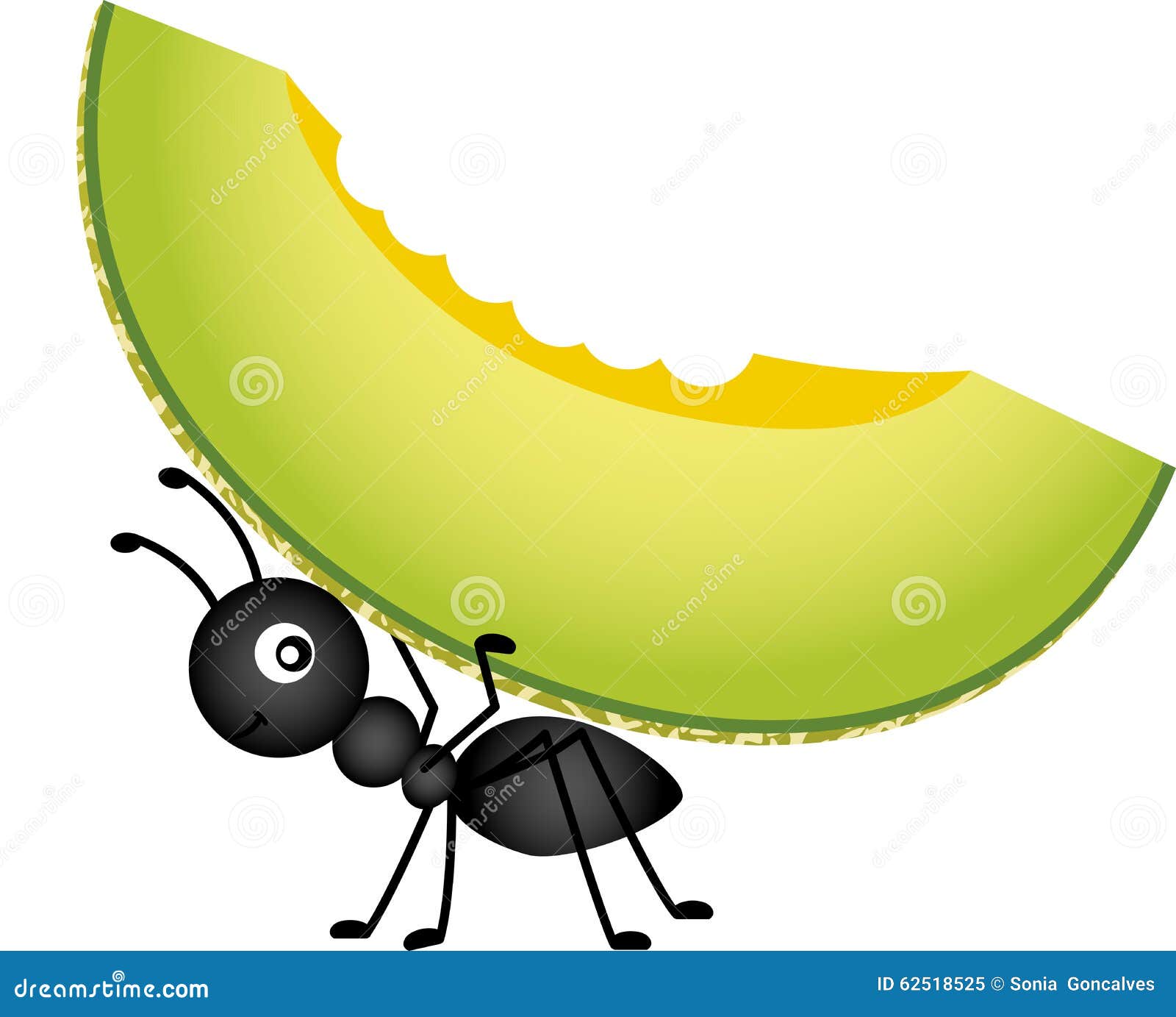 Ant Carrying a Cantaloupe Melon Stock Vector Illustration of candy