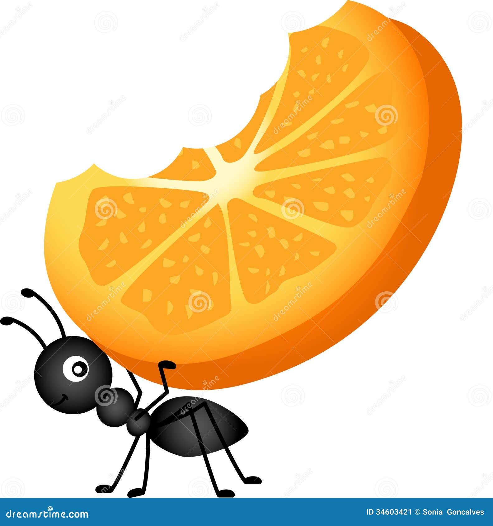 Ant Carrying Orange Slices stock vector. Illustration of orange 34603421