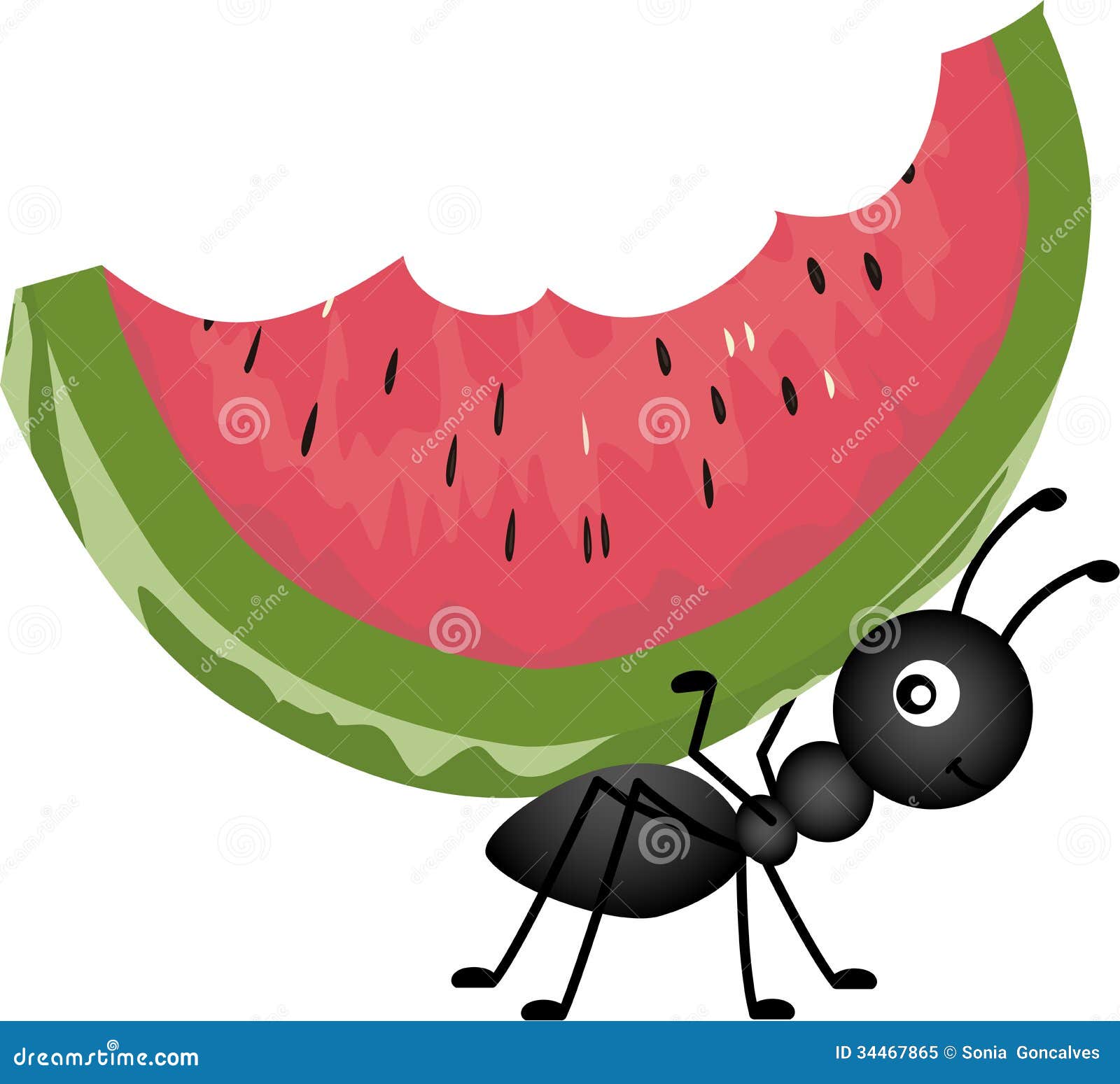 ant carrying watermelon