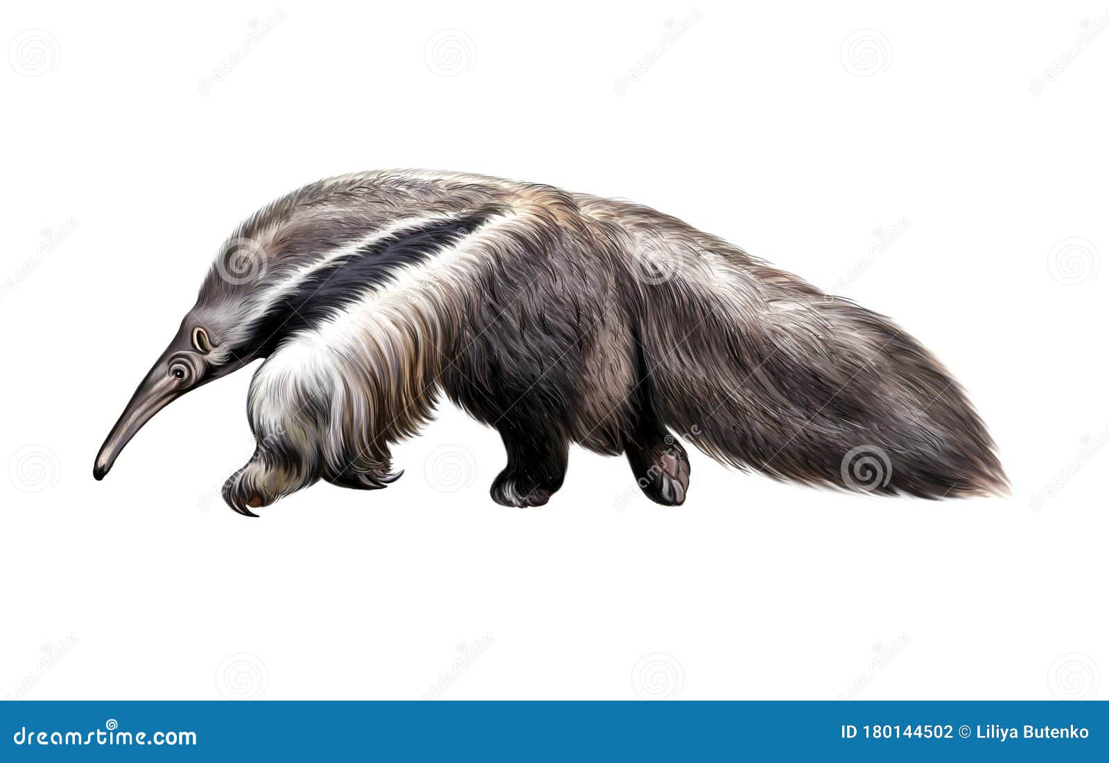 Giant Anteater Hug Pose Stock Photo 1122199472