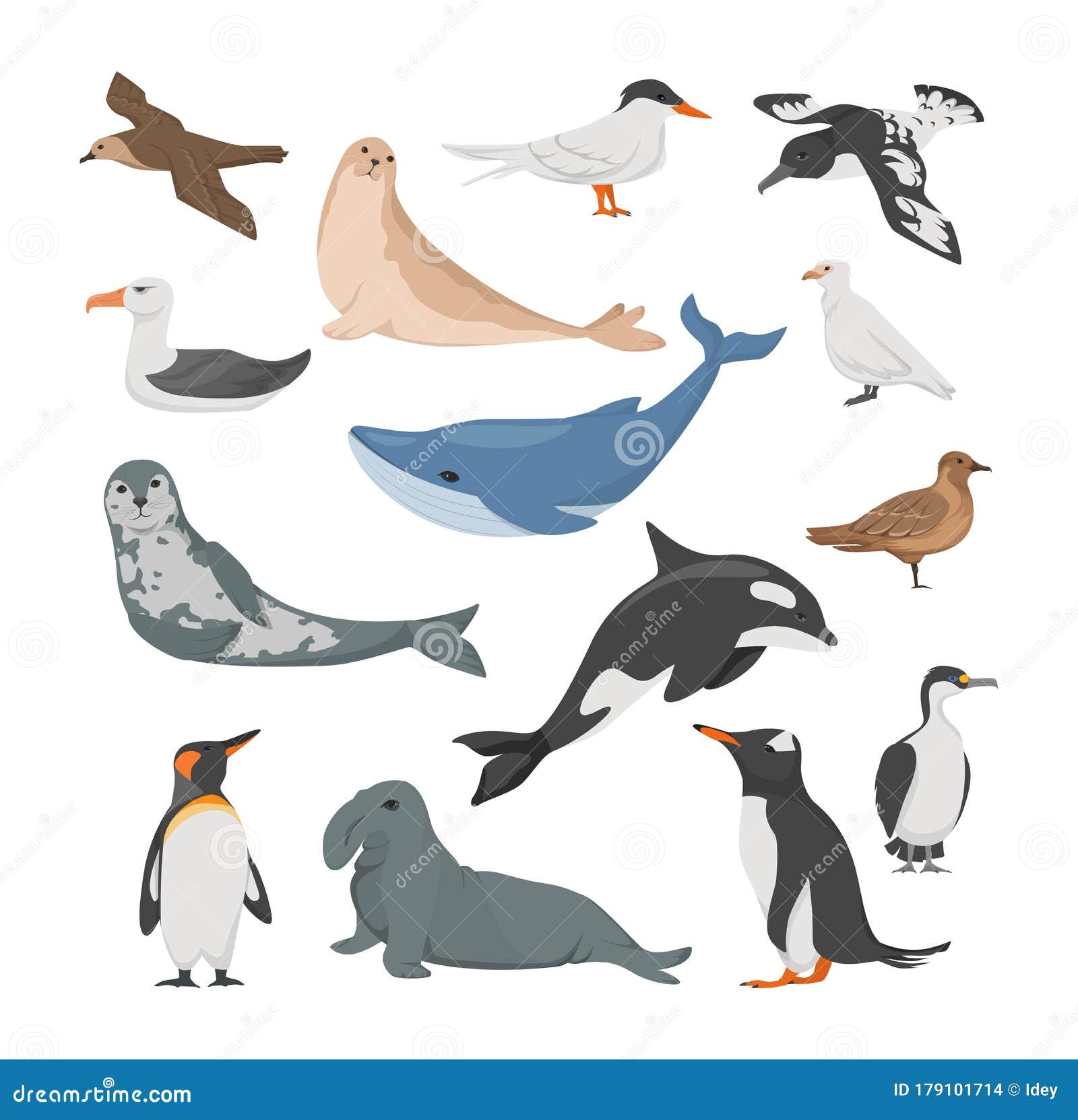 Antarctica Flora. Animals, Birds and Sea Life Stock Vector - Illustration  of plants, flat: 179101714