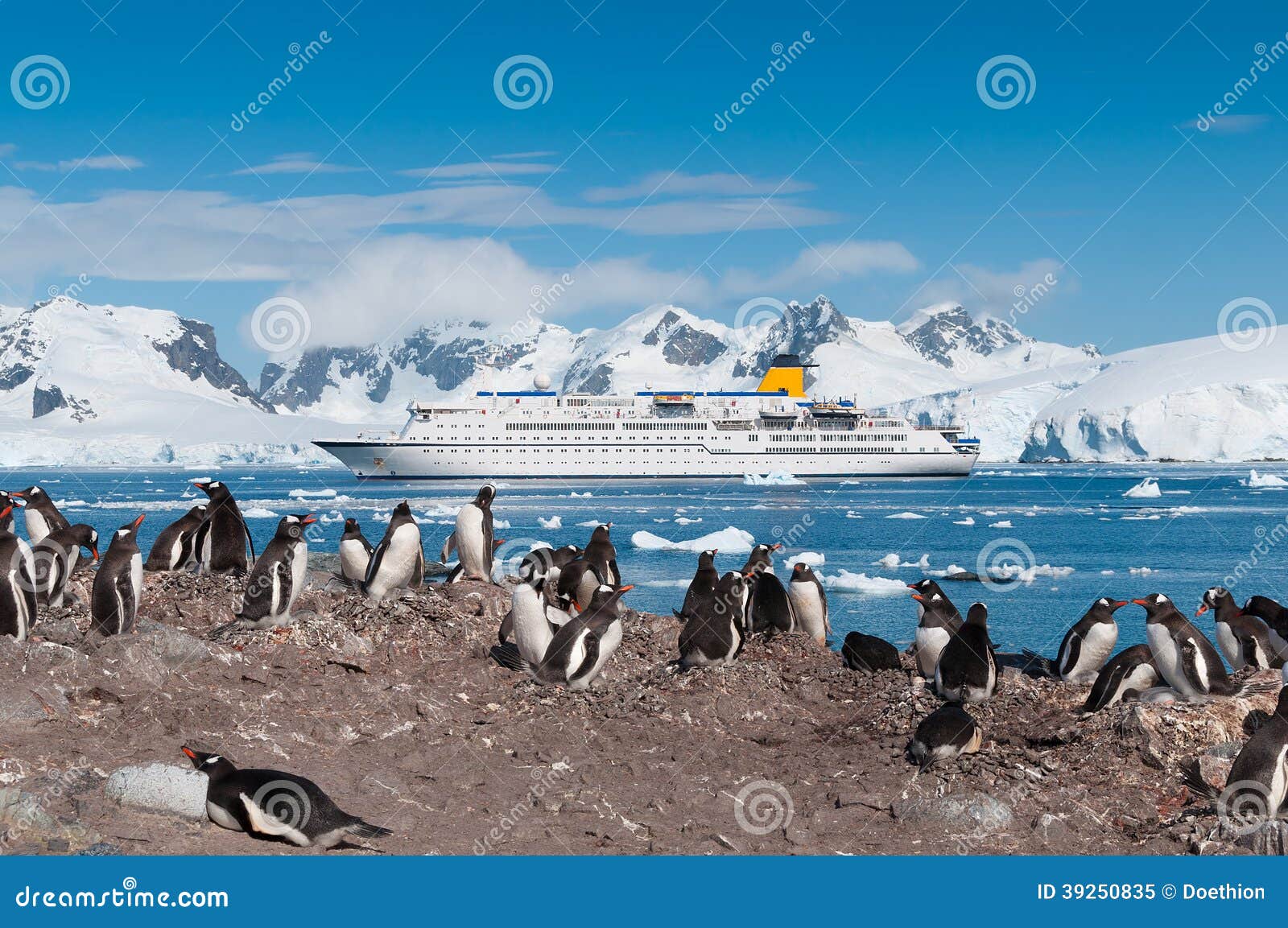 antarctica penguins and cruise ship