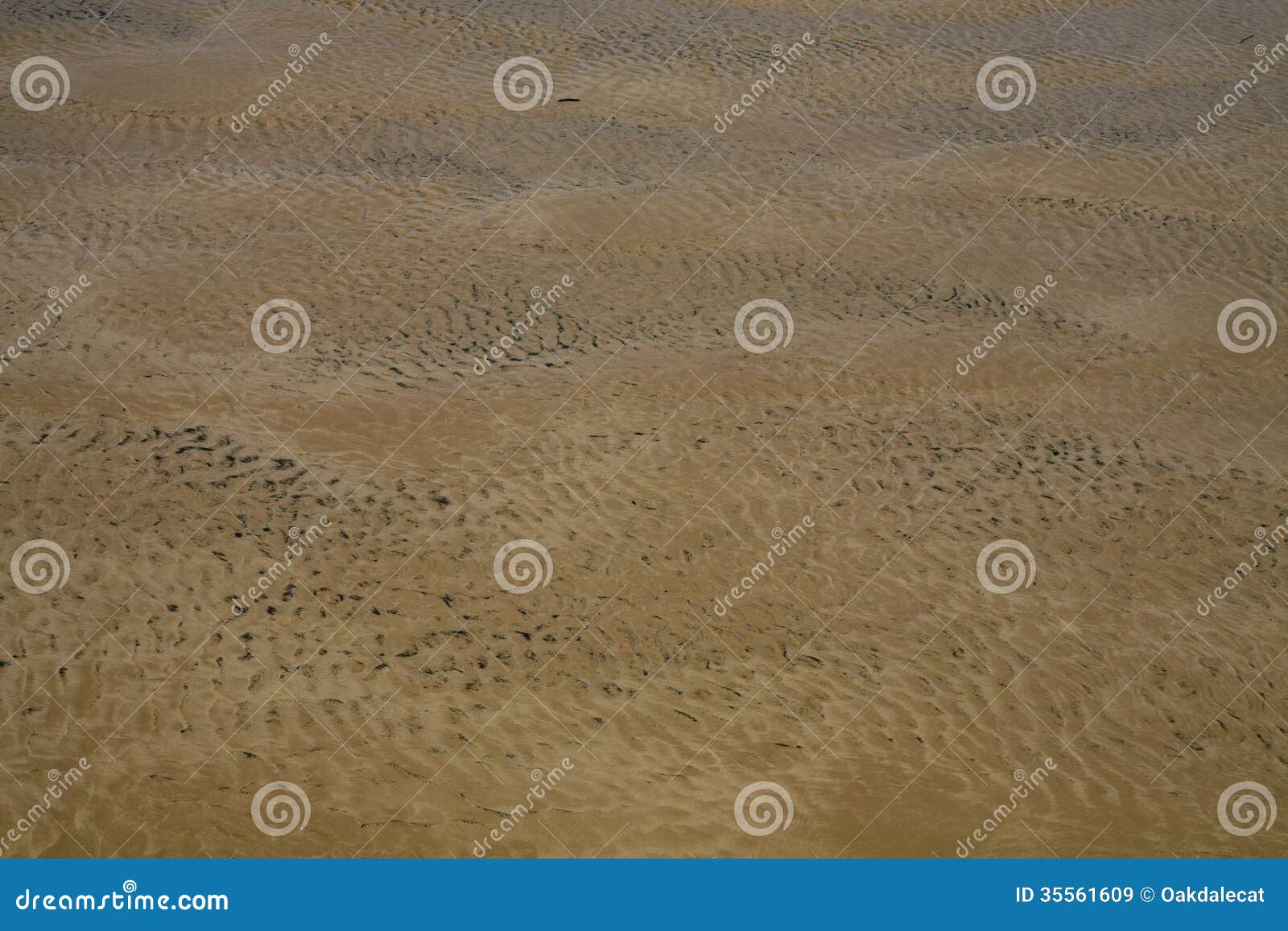 Antecedentes abstractos: Suelo marino y aceite ondulados. La contaminación del aceite que establece en el suelo marino y que se mezcla con las ondulaciones de la arena formadas por las mareas entrantes y salientes compone este fondo abstracto.