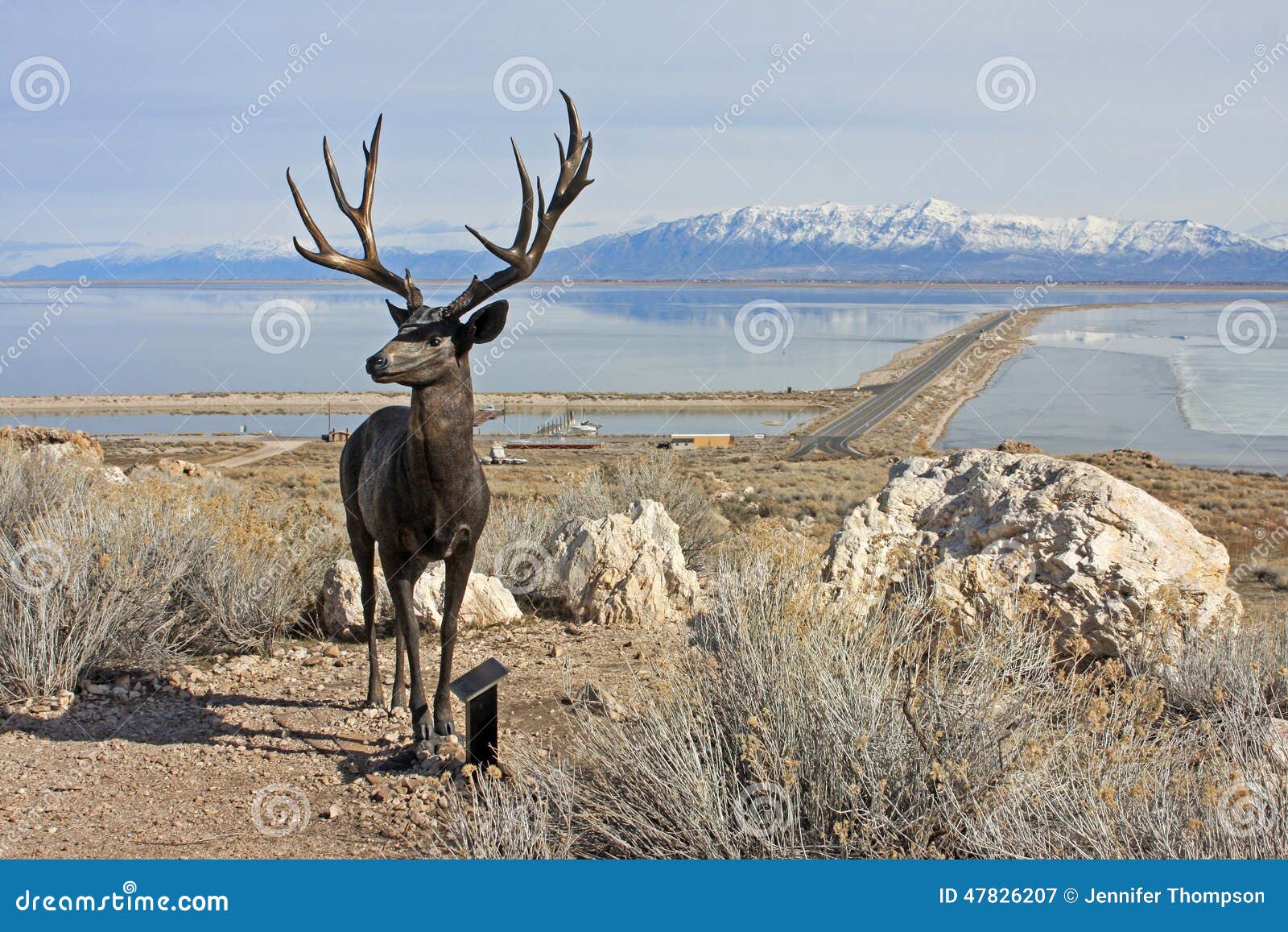 are dogs allowed on antelope island