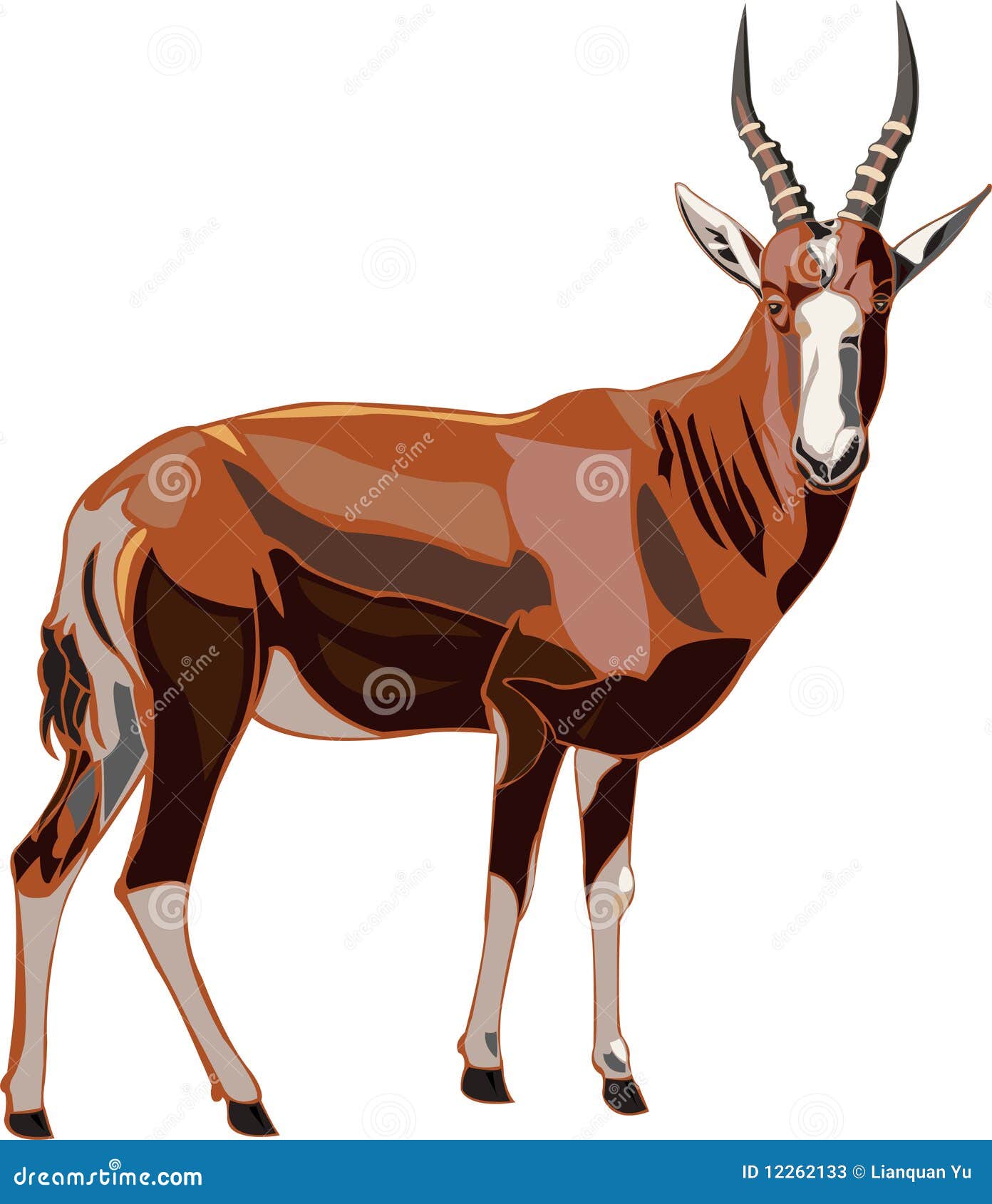 Antelope Series Greater Kudu Cartoon Vector 11554229