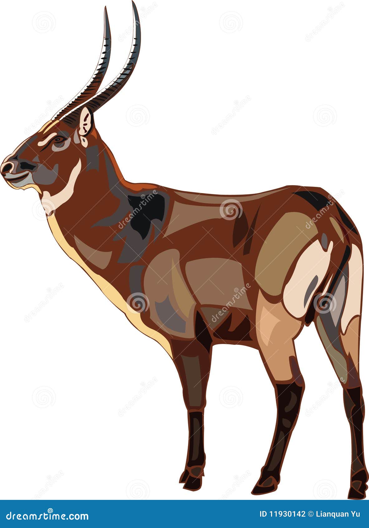 Antelope Series waterbuck. stock vector. Illustration of hoof - 11930142