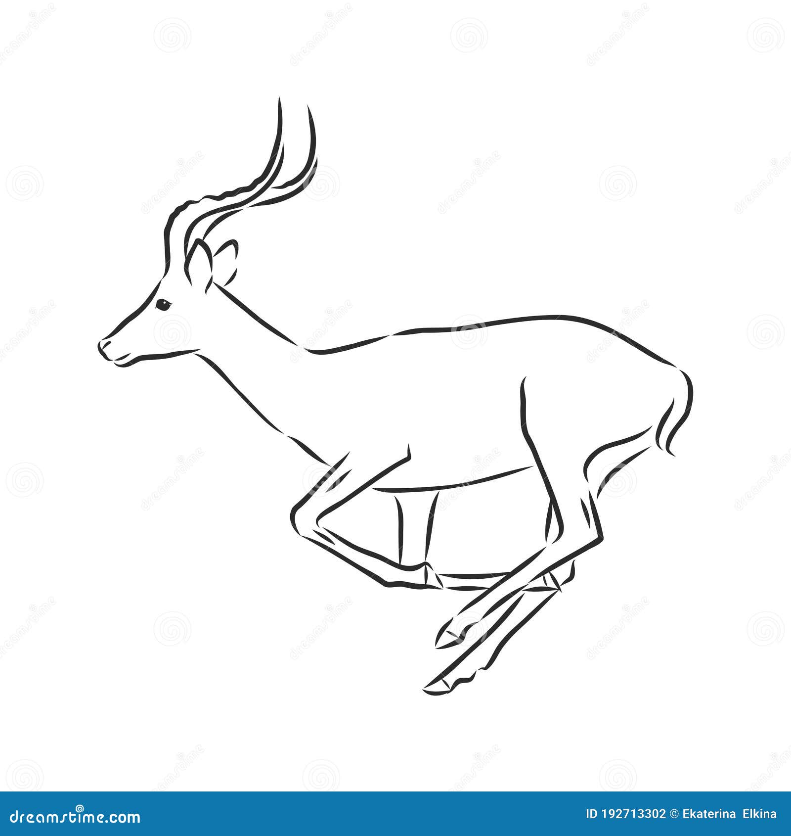 Antelope Sketch Vector Graphics Black and White Drawing Stock