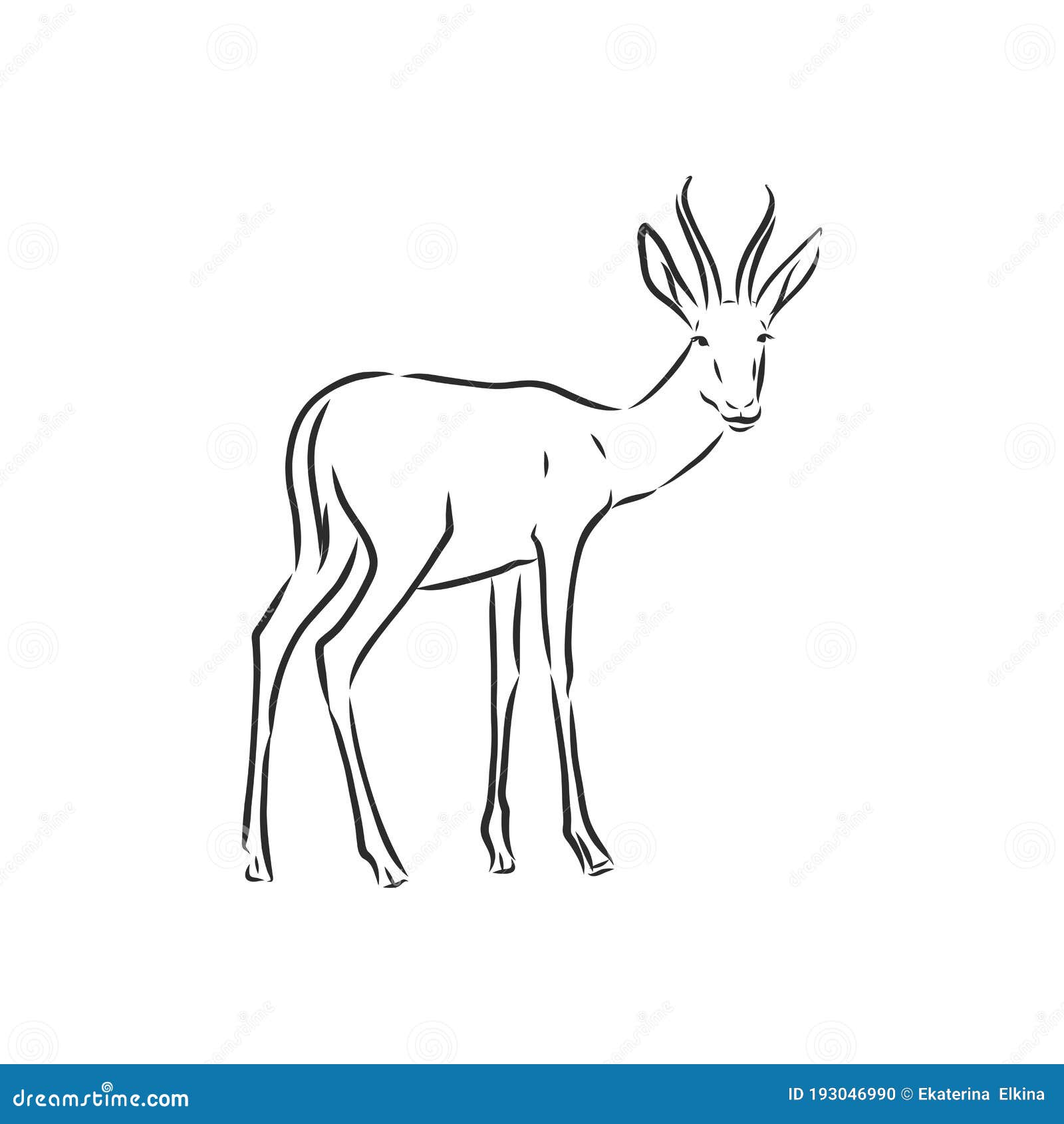 Antelope Sketch Vector Graphics Black and White Drawing Stock