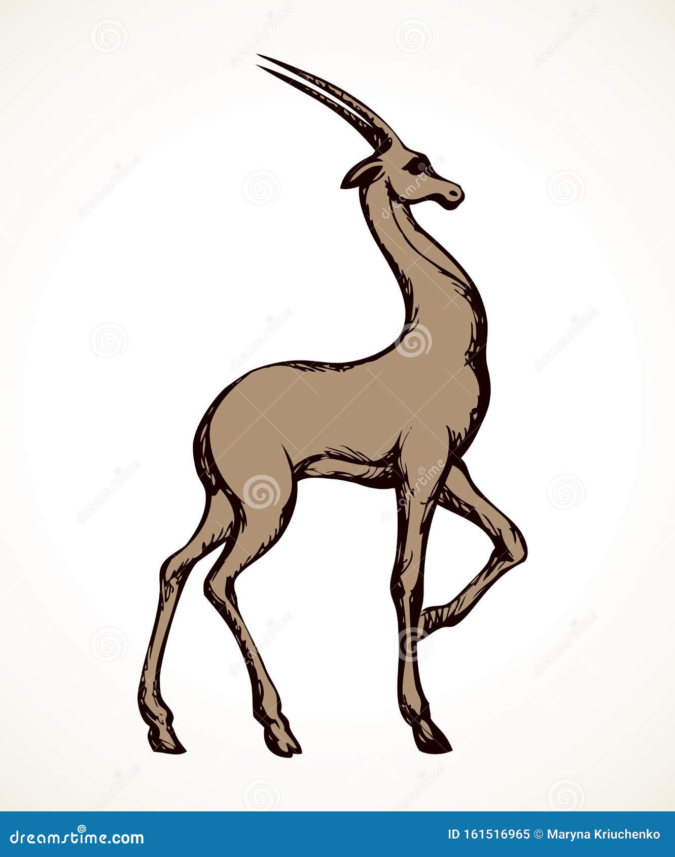 antelope.  drawing