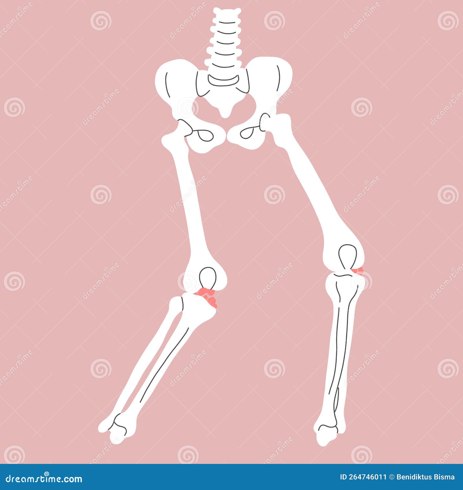 Anterior Cruciate Ligament ACL Injuries Cartoon Vector CartoonDealer if-you-love-matcha-or-have-considered-wanting-to-try-it-here-are-some
