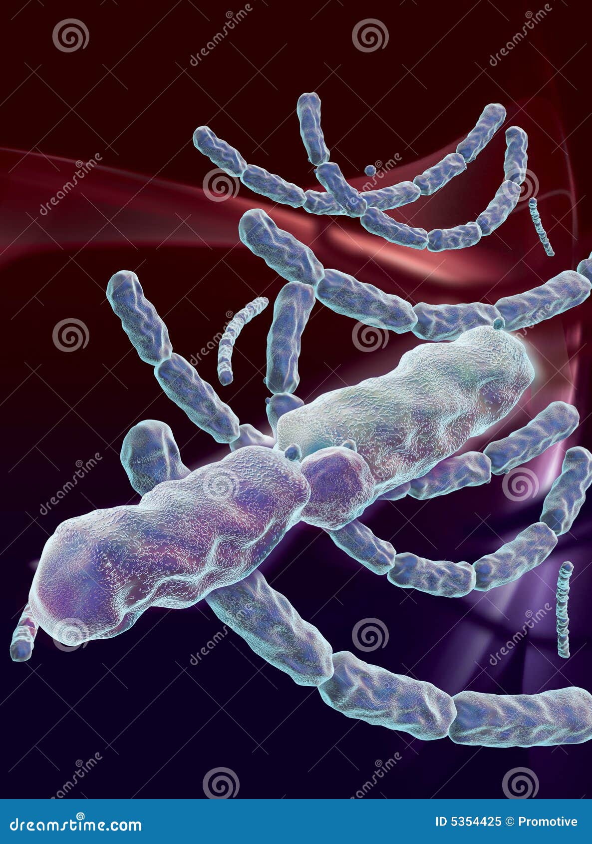 anthrax bacterial