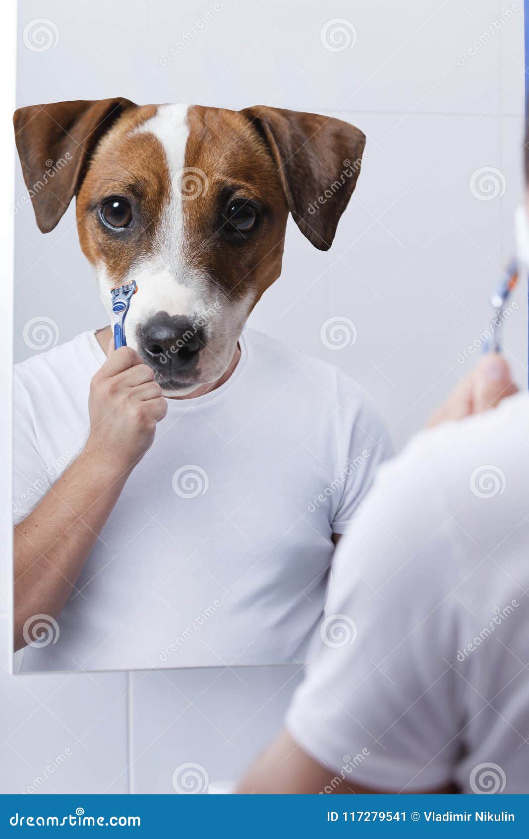 Anthropomorphic Dog Have a Shaving Stock Image Image of masculine