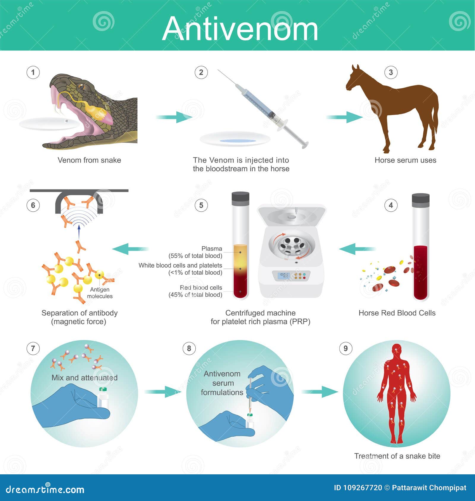 anti venom is a medication made from antibodies from red blood h