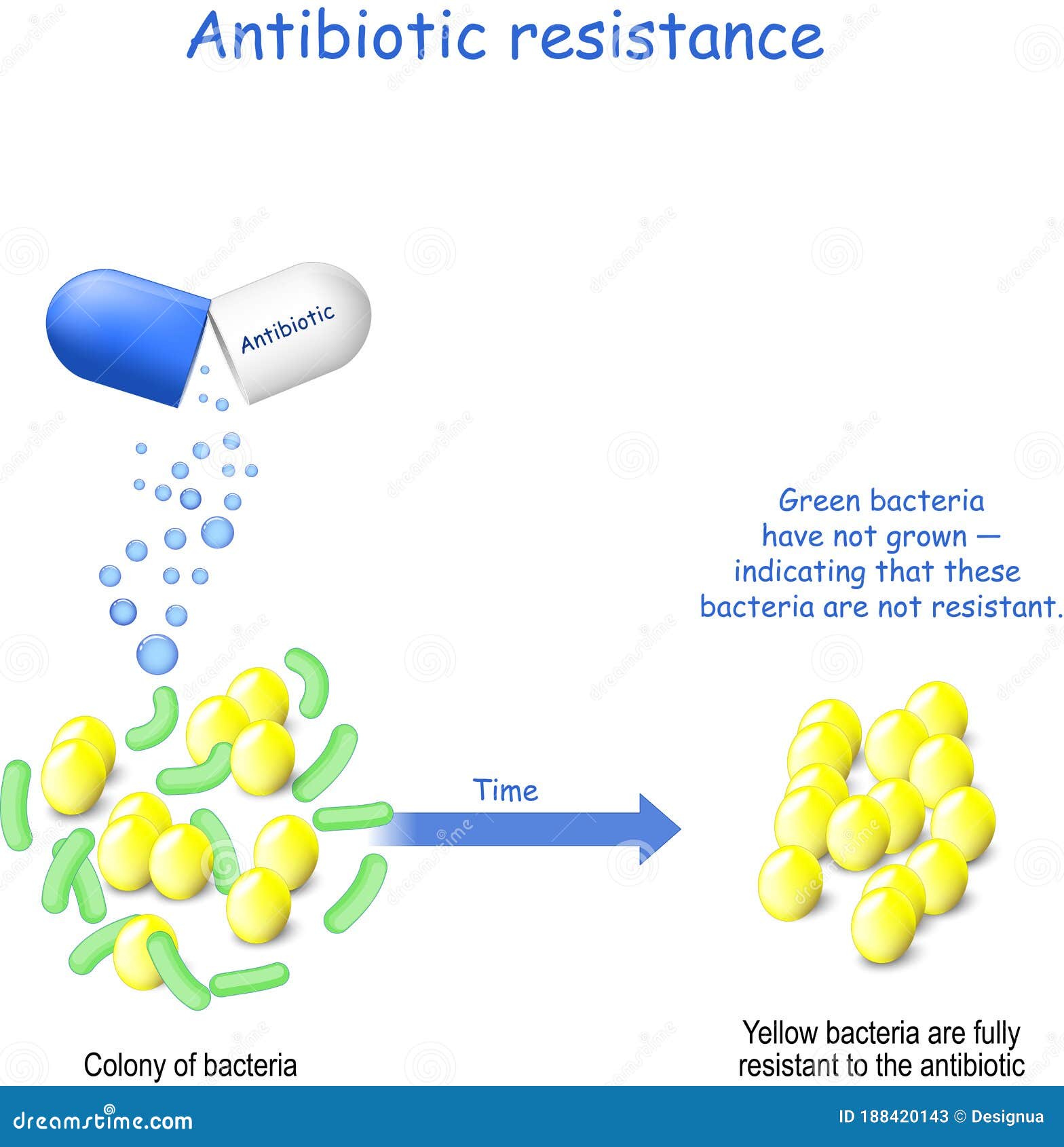 antibiotic resistance. colony of bacteria and capsule with antibiotic
