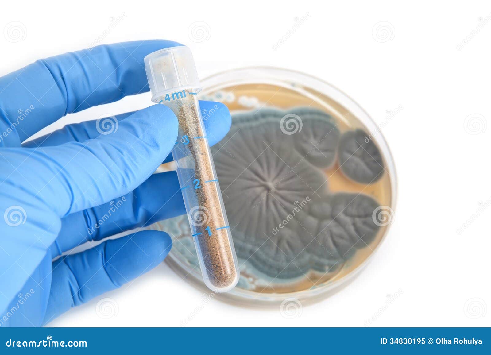 antibiotics in tube and penicillium fungi