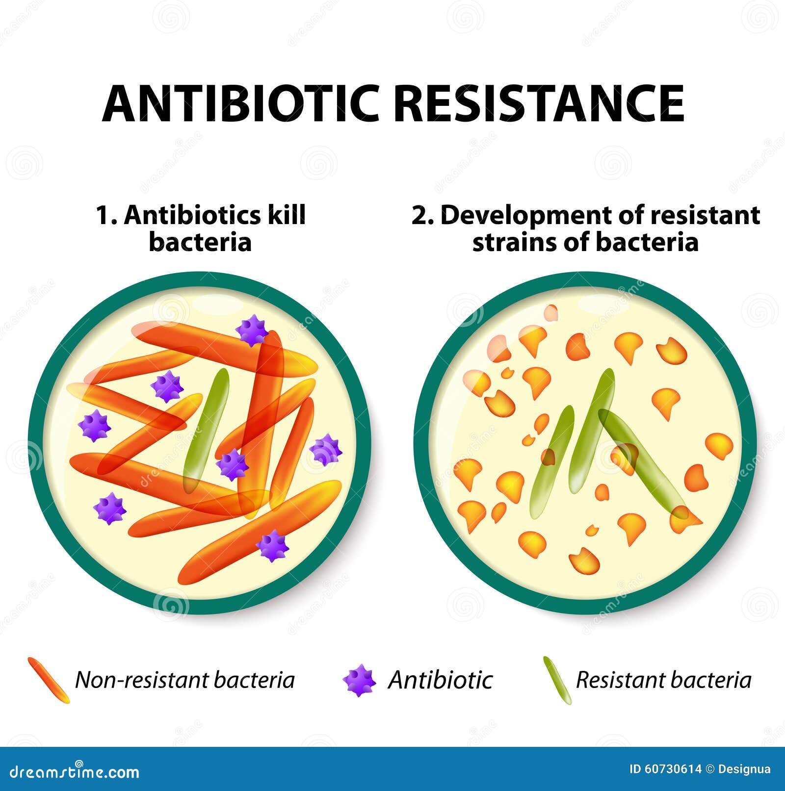 Antibiotikaresistenz vektor abbildung. Illustration von biotechnologie
