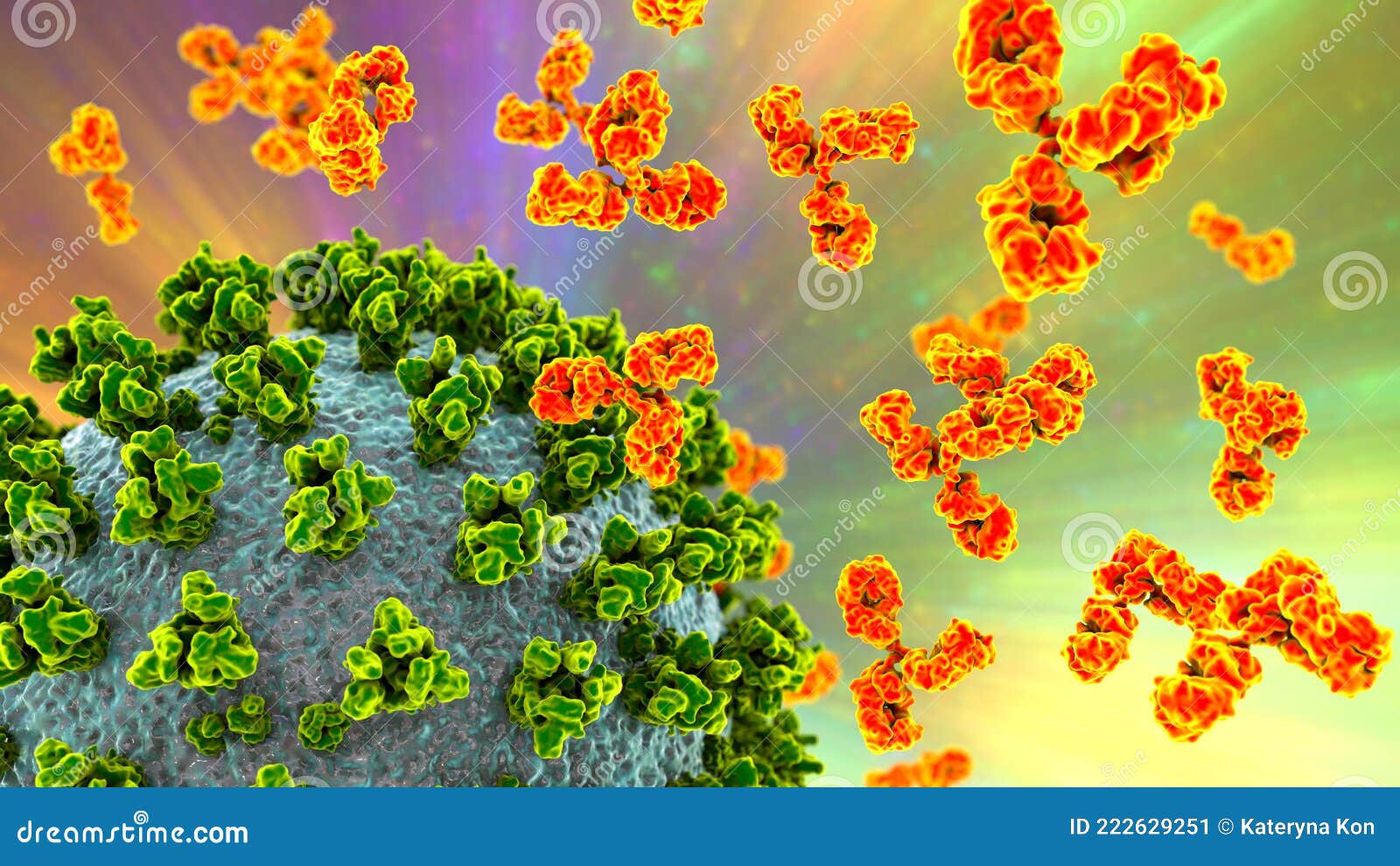 antibodies attacking sars-cov-2 virus, corona virus, covid-19 viruses