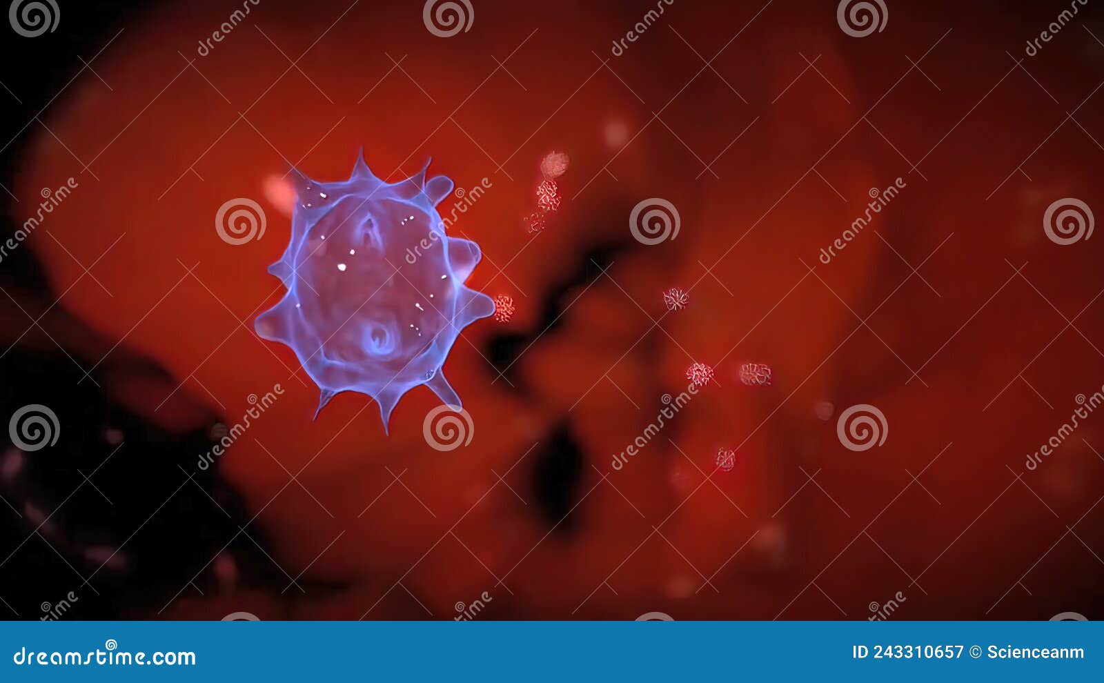 Antibodies that Find and Destroy the Virus Stock Illustration