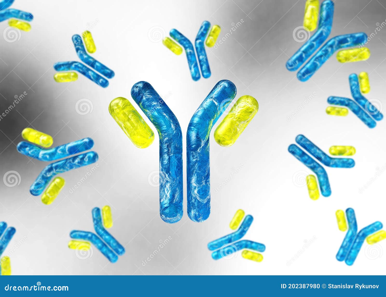 Antibody, Immunoglobulin, Yshaped Protein Stock Illustration