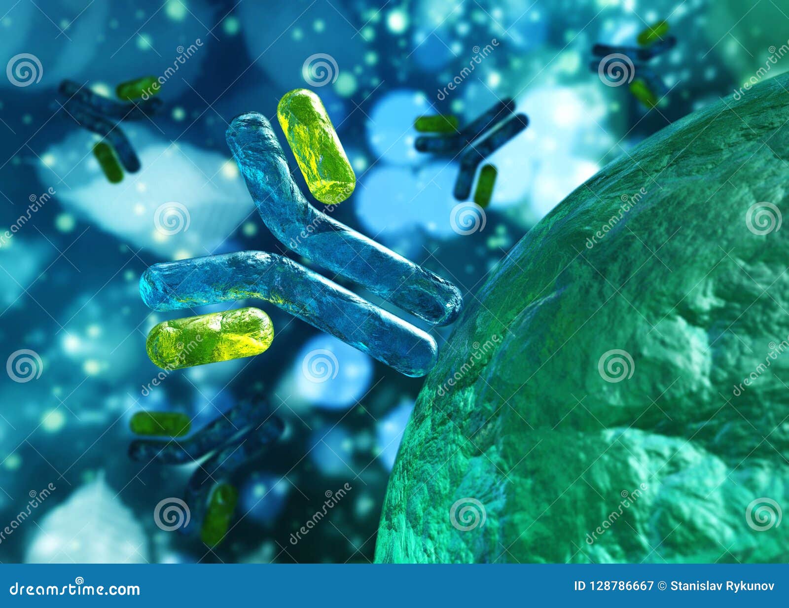 antibody, immunoglobulins