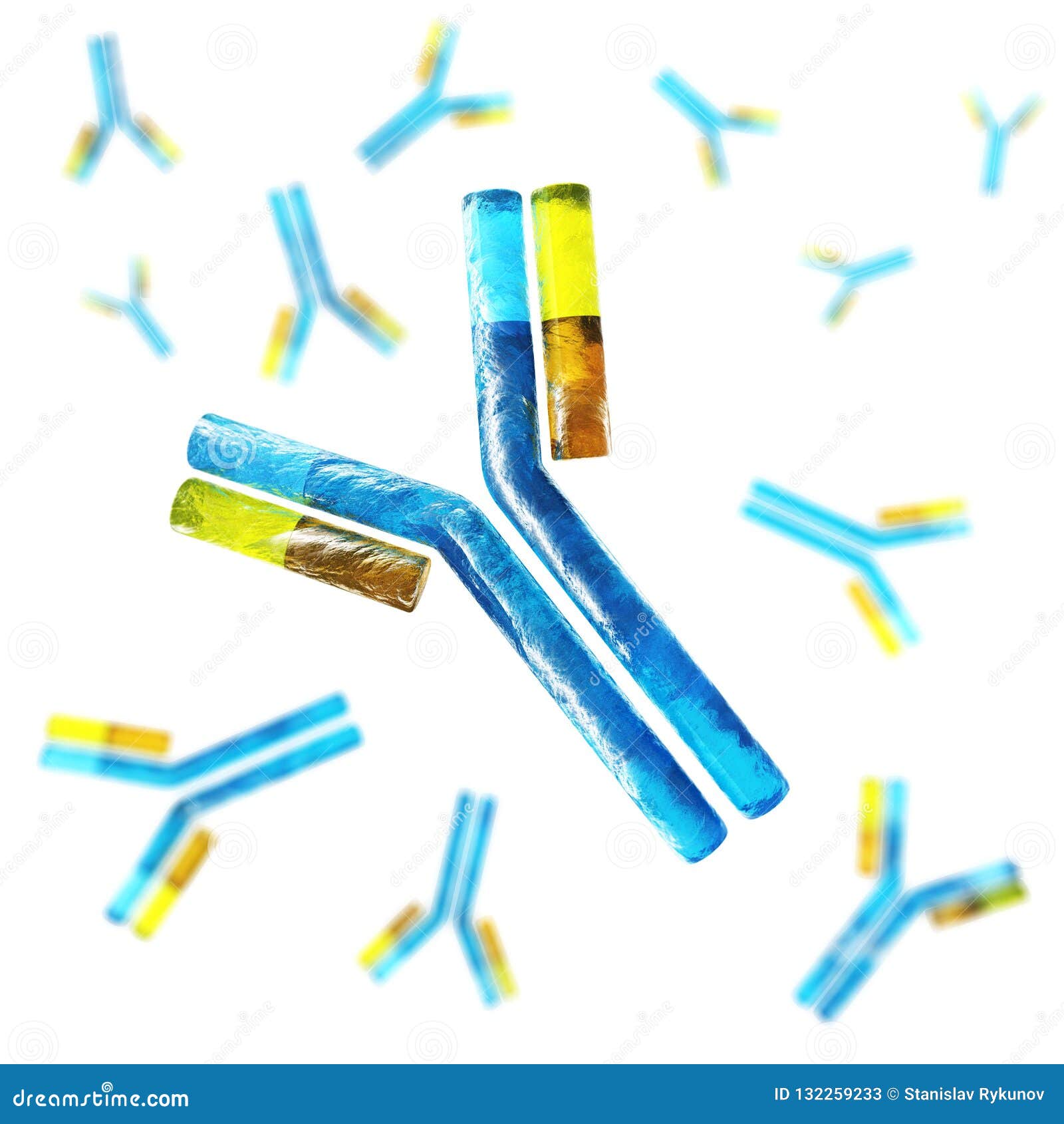 antibody, immunoglobulins