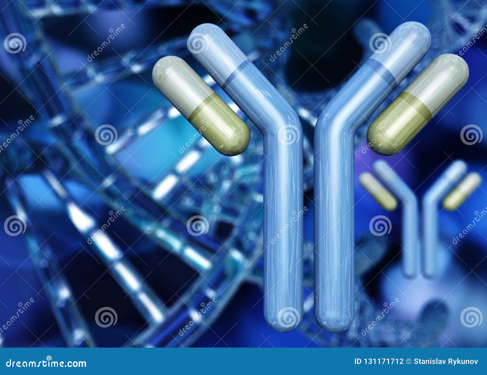 antibody, immunoglobulins and dna helix