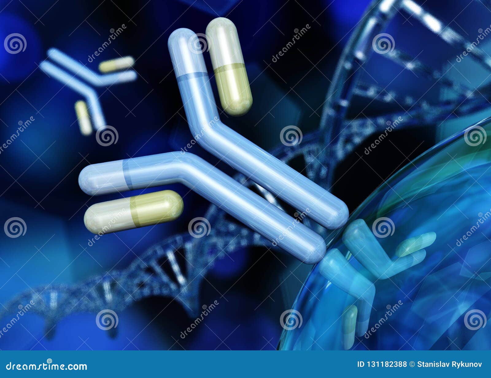 antibody, immunoglobulins and dna helix