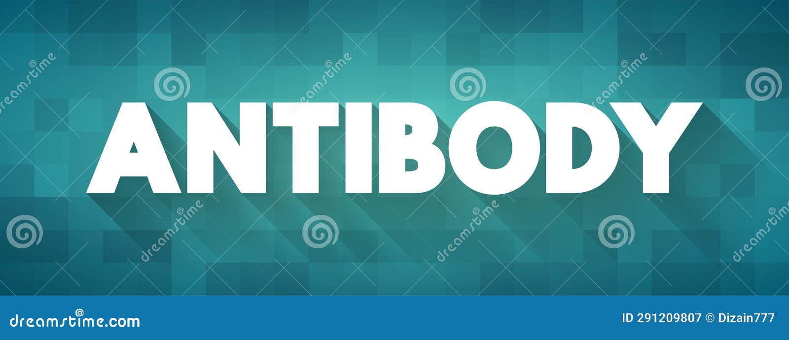 Antibody is a Large Yshaped Protein Used by the Immune System To