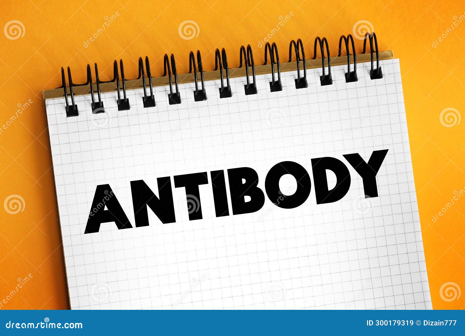 Antibody is a Large Yshaped Protein Used by the Immune System To