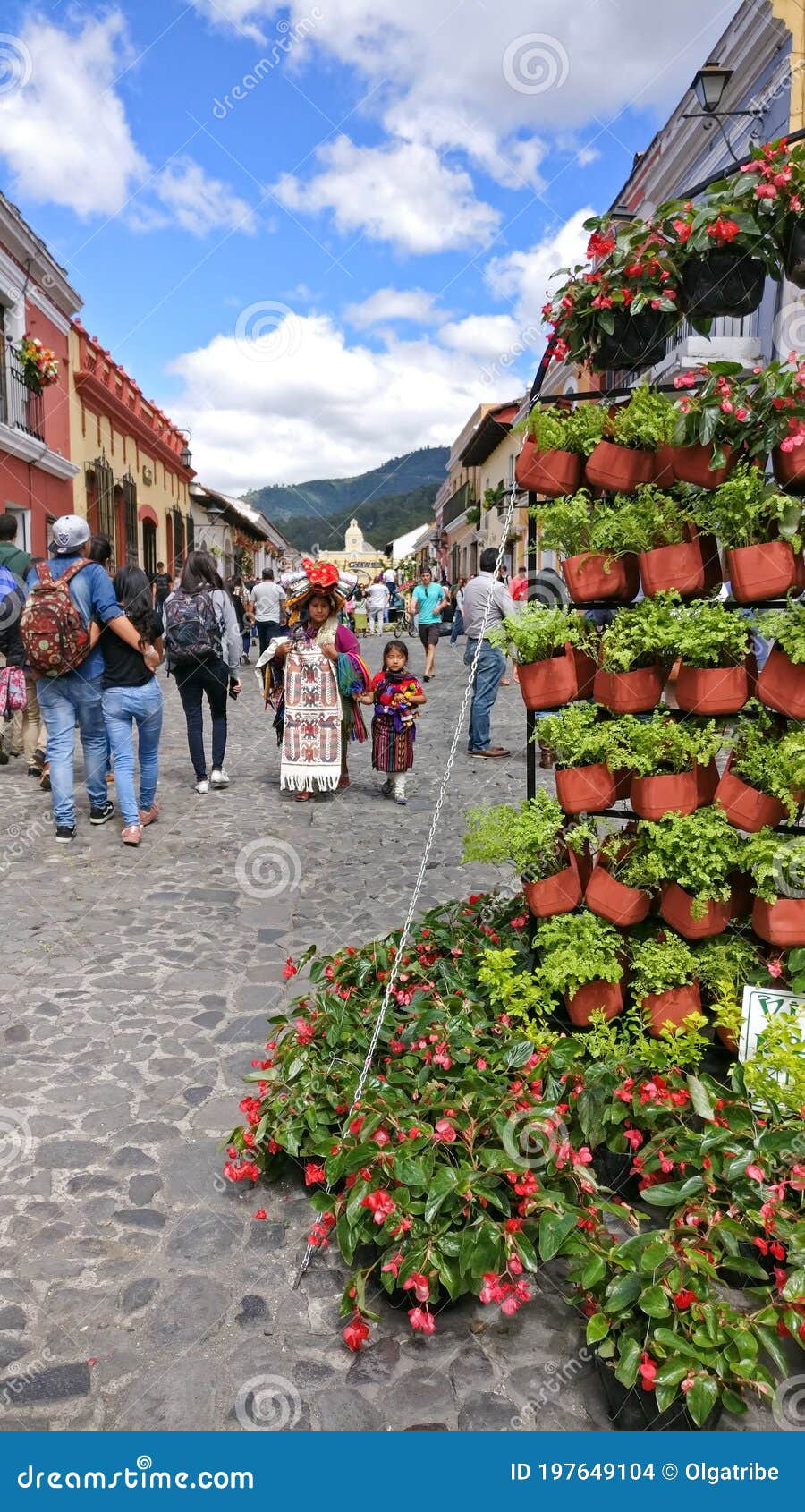 Flower Festival Antigua 2024 - Dara Milzie