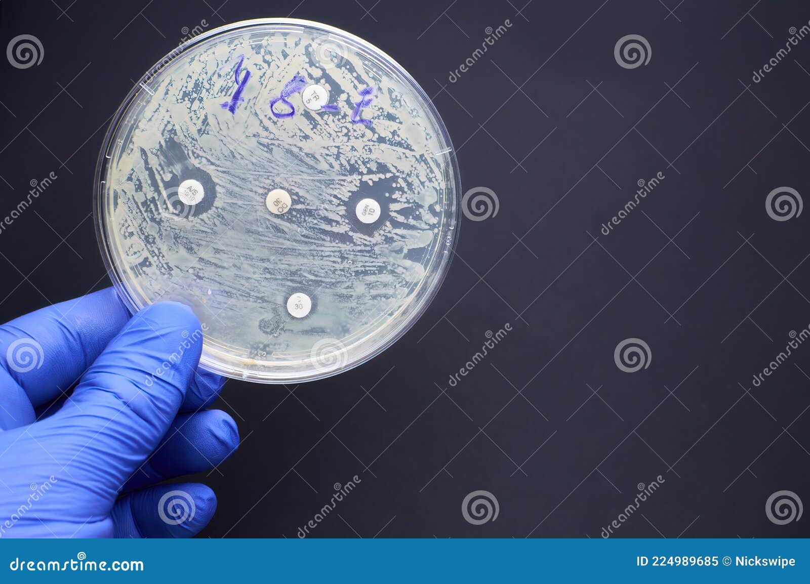Antimicrobial Susceptibility by Diffusion Test. Multidrug Resistance