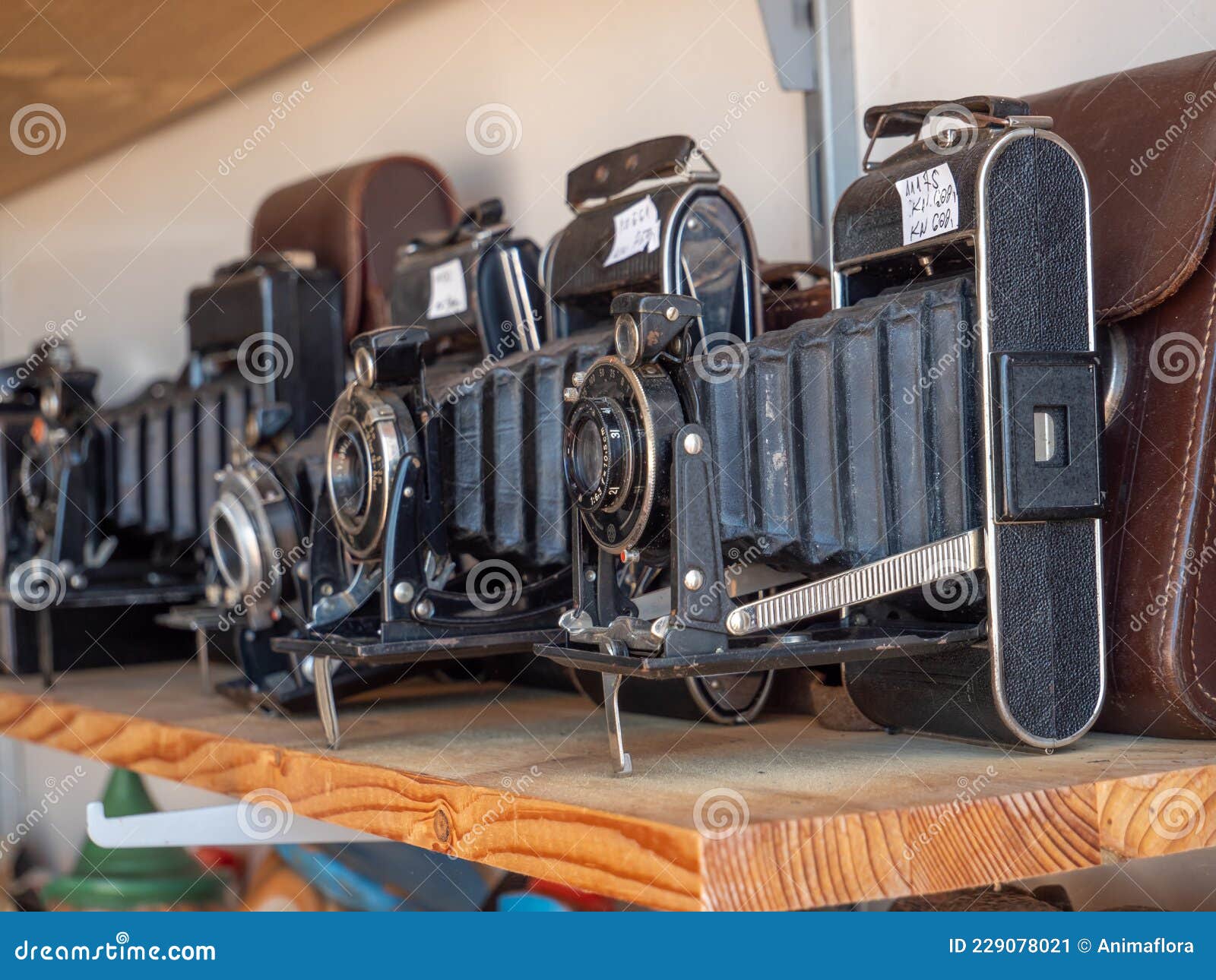 Antique Analog Cameras on a Flea Market Stock Image Image of