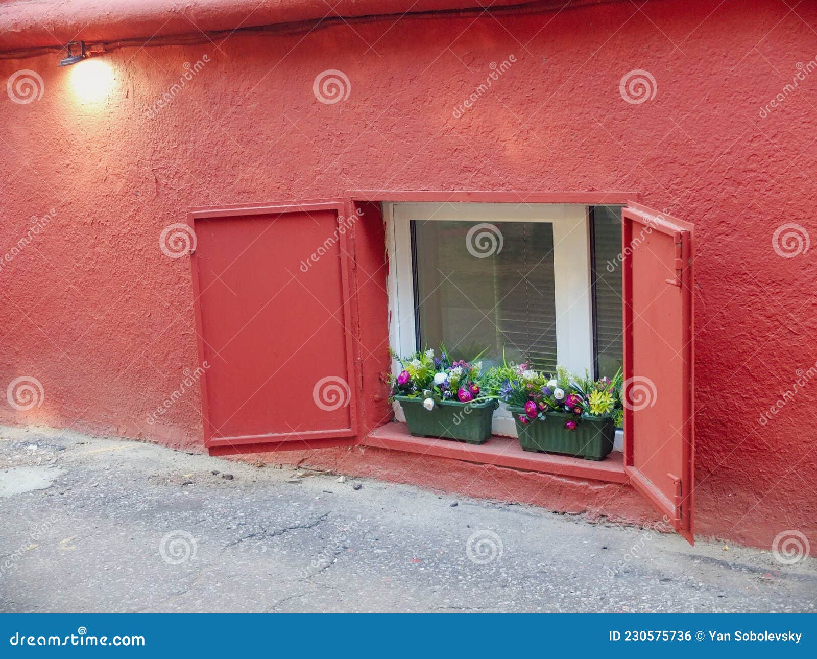 Antique Basement Window. Flowers on the Window. Red Wall Stock Photo