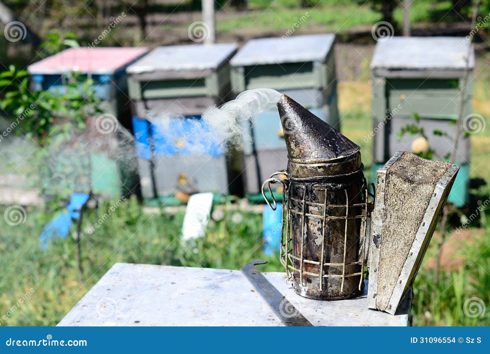 Antique bee smoker stock photo. Image of hand, antique 31096554