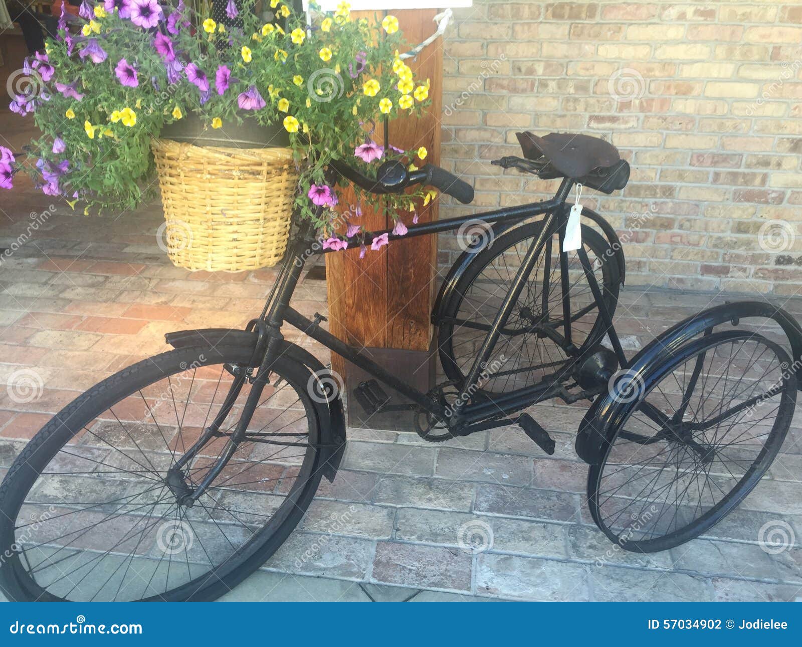 Antique Bicycle with Flower Basket Stock Photo Image of basket, seat