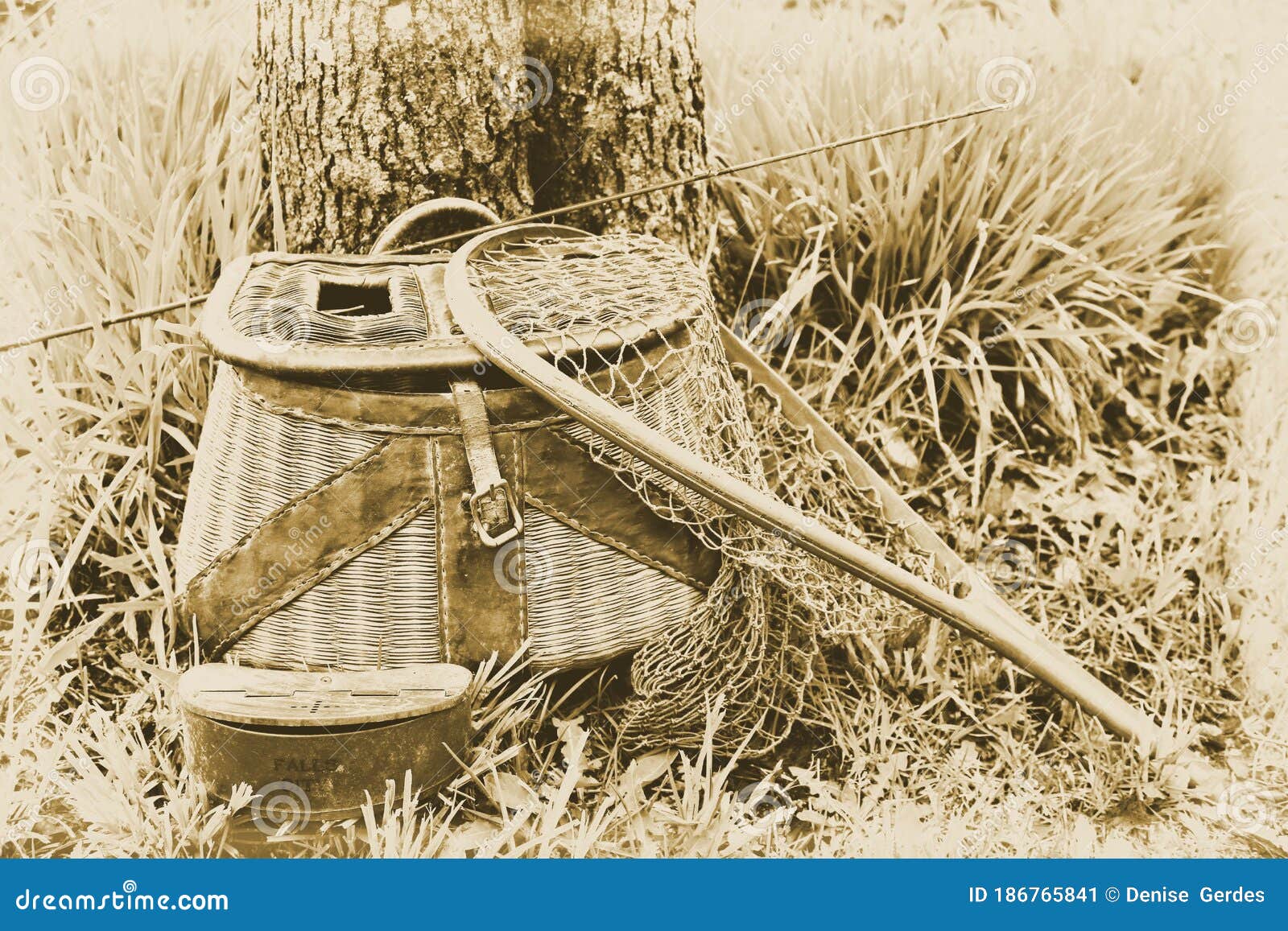 Antique Creel, Fishing Net, Steel Bait Box, and Fishing Pole Near a Tree in  the Grass. Fishing by the River in Sepia Tone Stock Image - Image of  cotton, close: 186765841