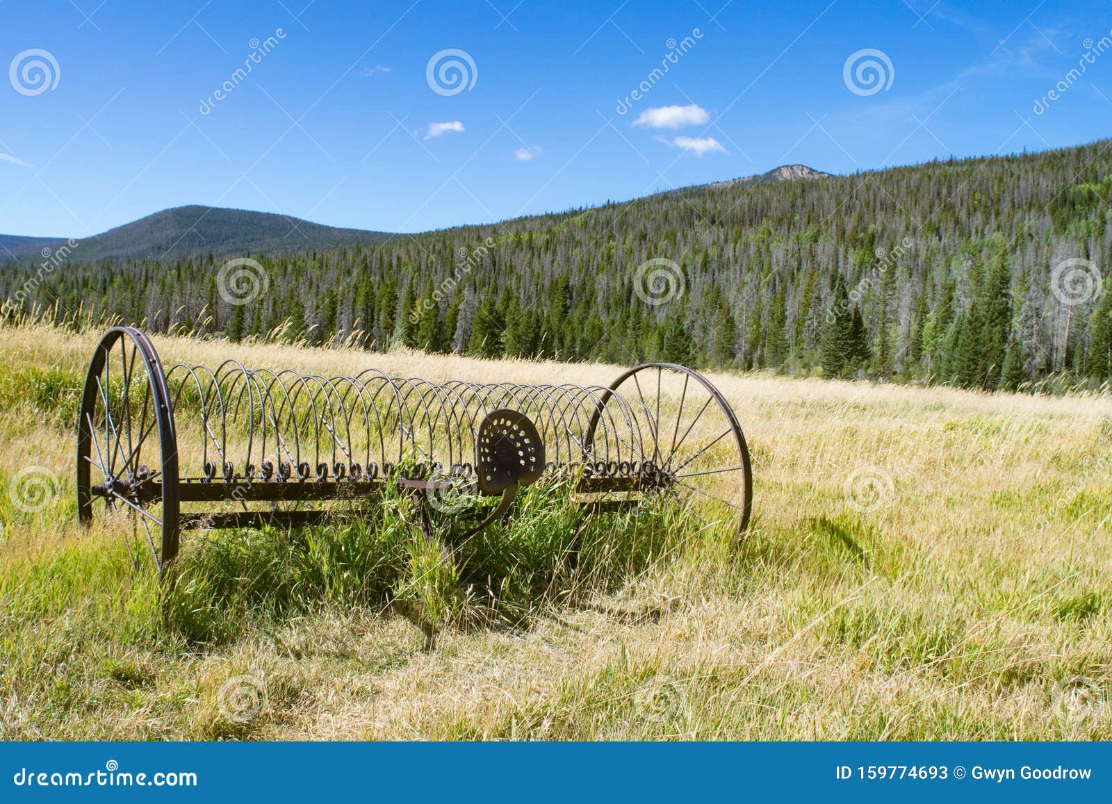 antique farming hay rake in open field