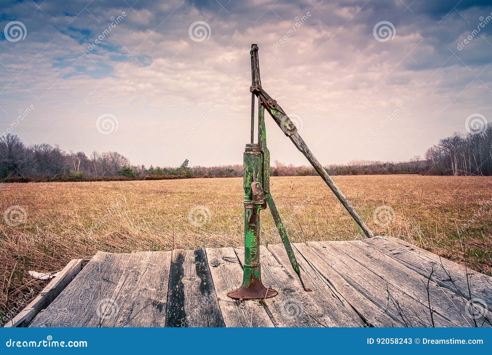 platform pumps canada