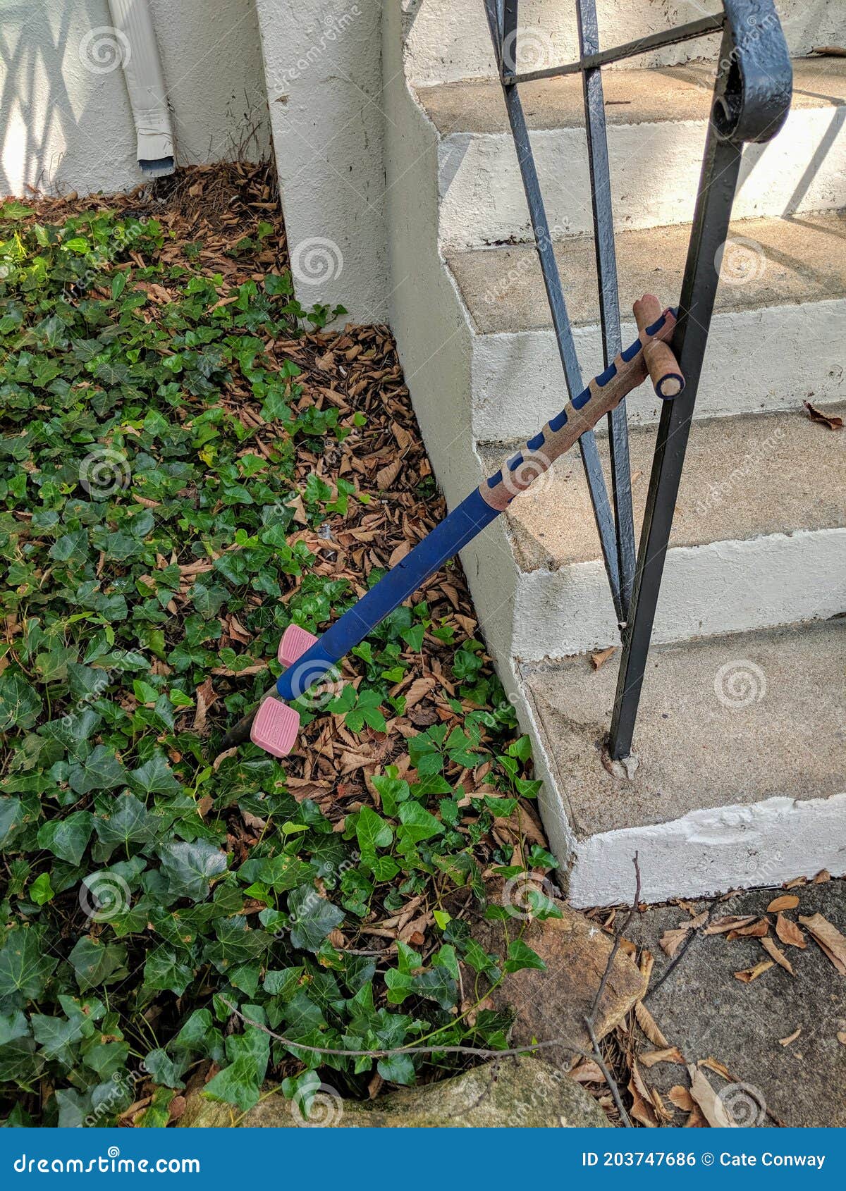 Antique pogo stick outside stock photo. Image of plant 203747686