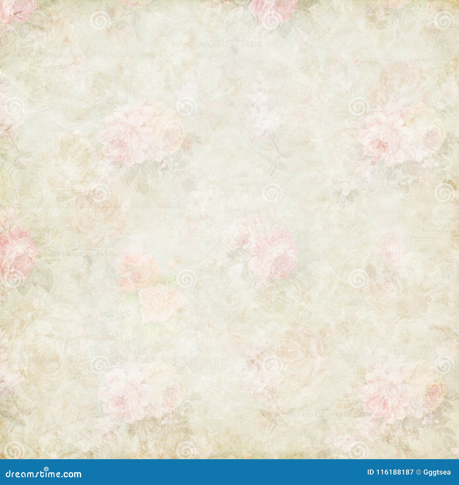 antique shabby pink roses paper background