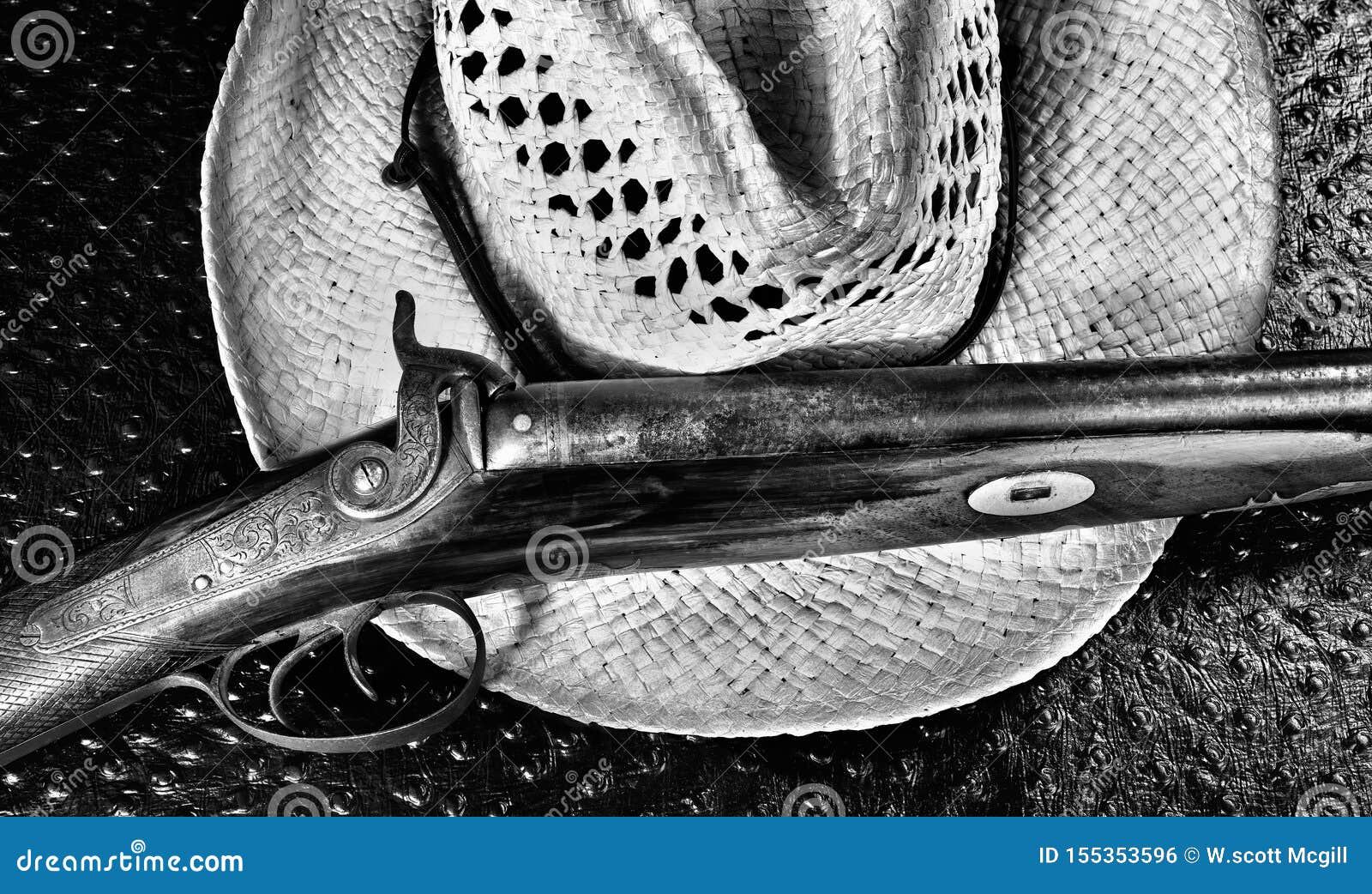 Great Dane And Sawedoff Shotgun Stock Illustration - Download Image Now -  iStock