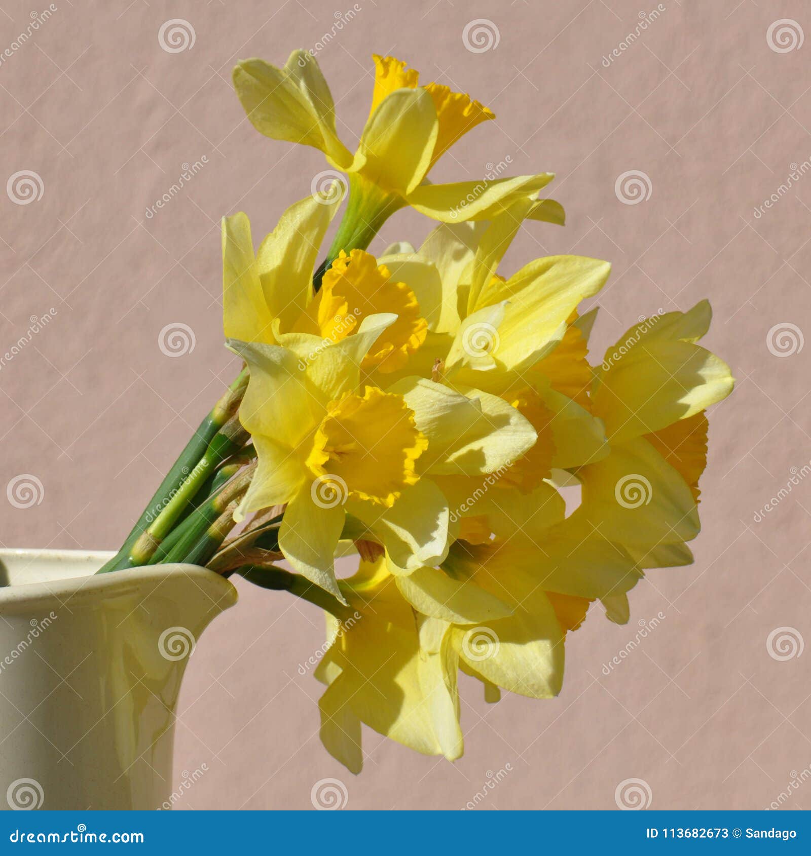 Water jug with daffodils stock image. Image of floral 113682673